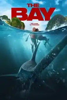The Bay 2026 Latest