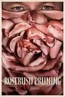 Rosebush Pruning 2026 Latest